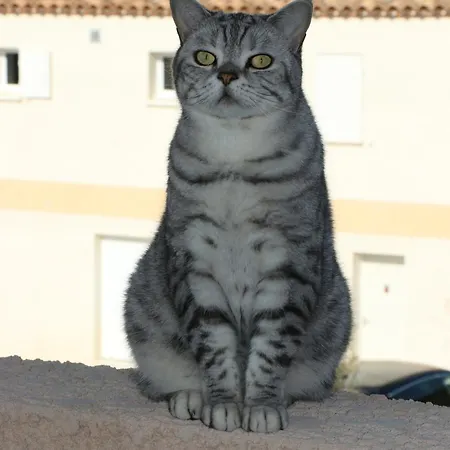 Superbe Dans Avec Piscine Apartment