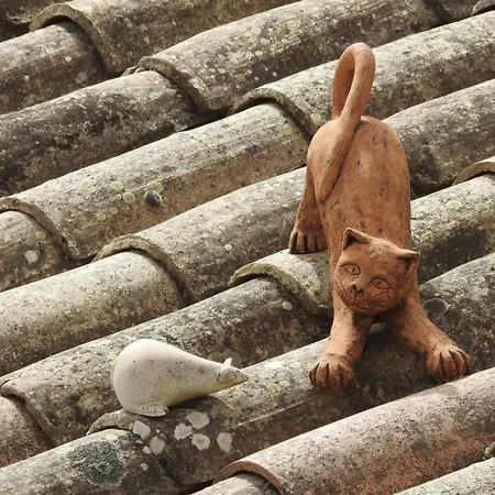 Superbe Dans Avec Piscine